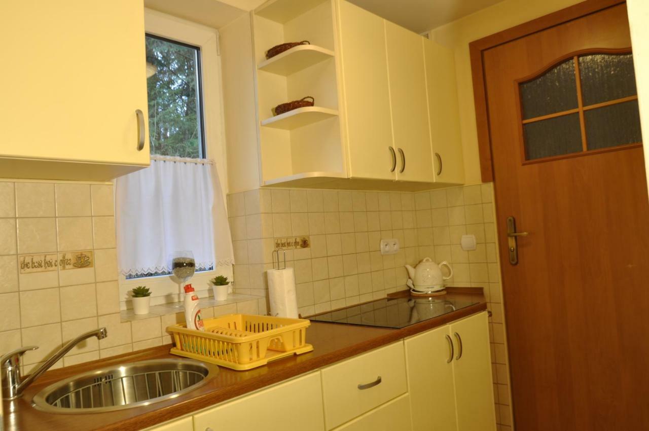 Apartamenty Sobiczkowa Wyspa Kościelisko Εξωτερικό φωτογραφία